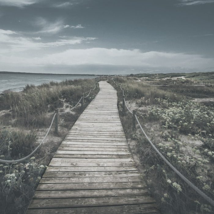 Ein Holzsteg führt über einen mit Gräsern bewachsenen Strand entlang am Meer bis hin zum Horizont