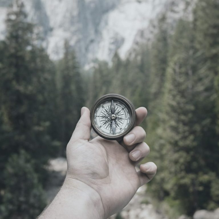 Eine menschliche Hand hält einen Kompass, der nach Norden ausgerichtet ist, im Hintergrund sind ein Nadelwald und Berge zu sehen